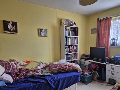 Picture 7